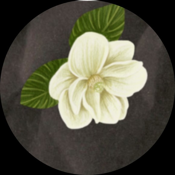 themagnolianook